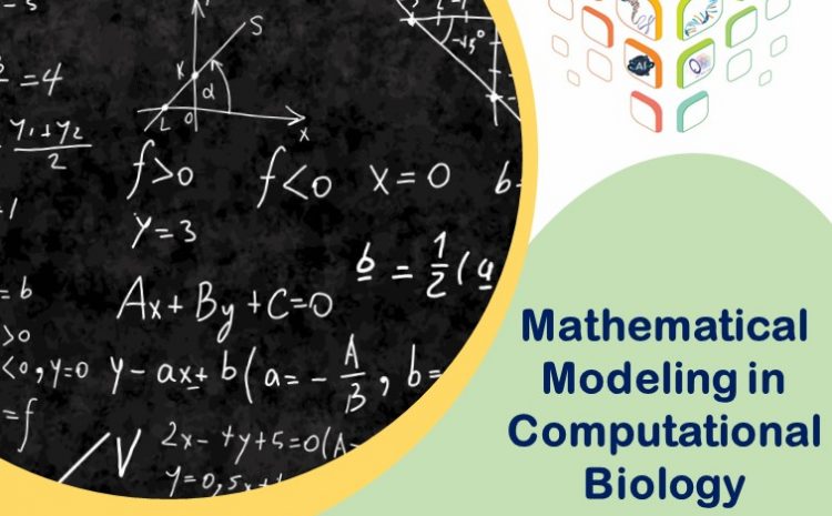  Mathematical Modeling in Computational Biology