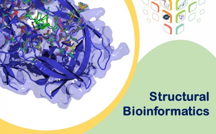  Structural Bioinformatics